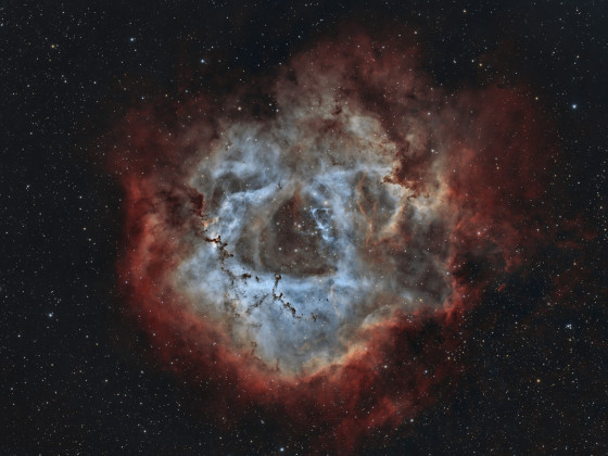 Rosette Nebula, Caldwell 49