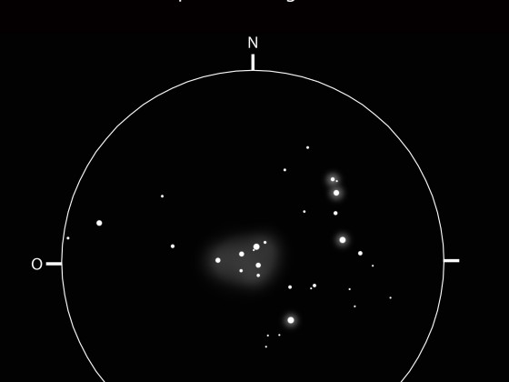 NGC 2169 – der 37-Haufen