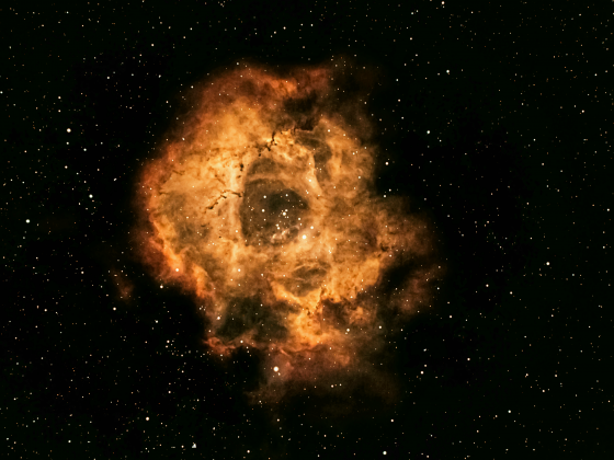 Der Rosettennebel (NGC2244)