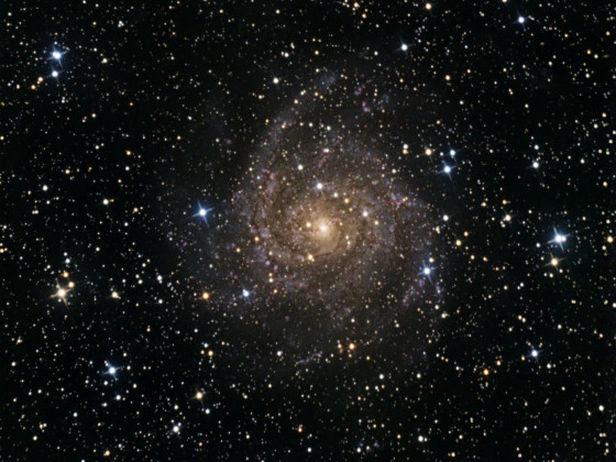 IC 342 (Maffei 1 Gruppe)