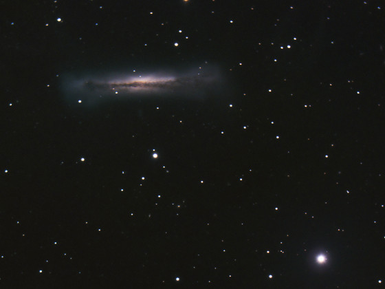 Leo Triplet M65, M66 und NGC 3628