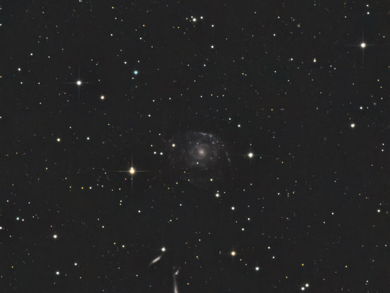 NGC2805 und Begleitgalaxien (Holmberg 124)