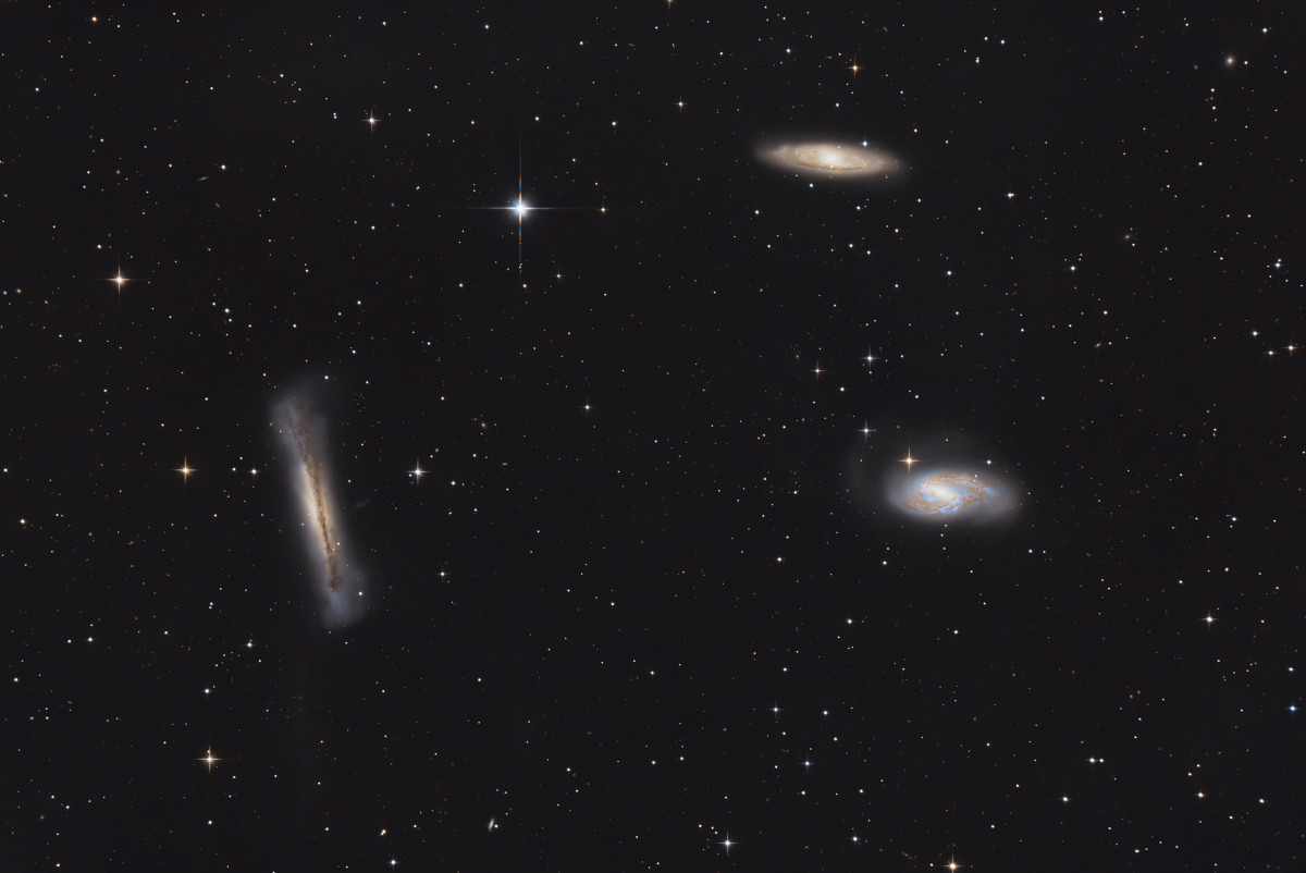 Das Leo Triplet NGC3628 M66 M65