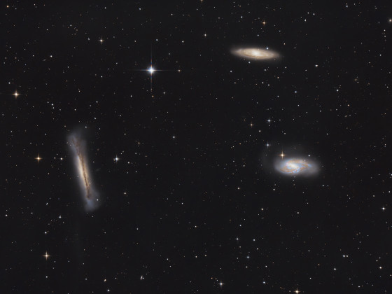 Das Leo Triplet NGC3628 M66 M65