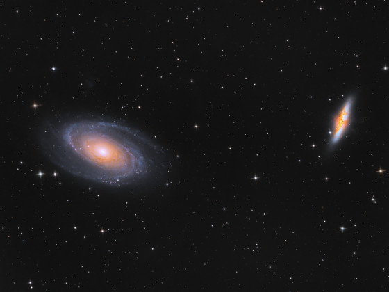 M81+M82