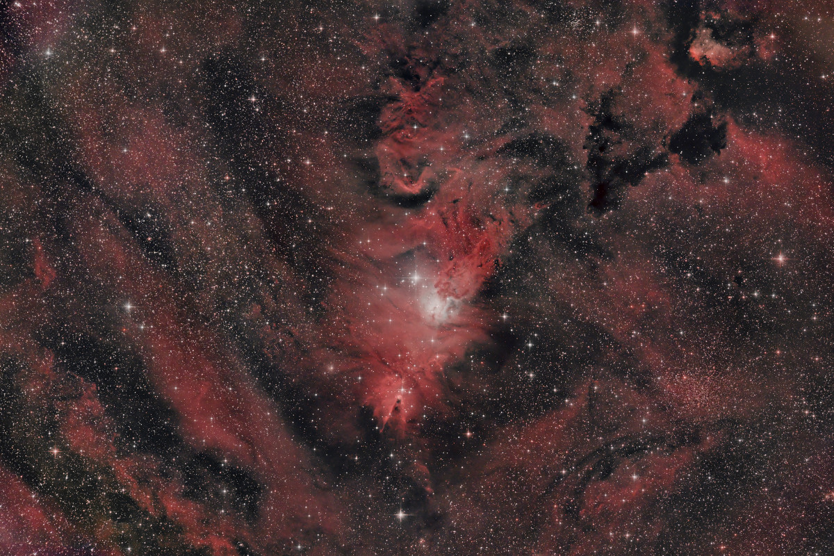 NGC2264 - neuer Filter