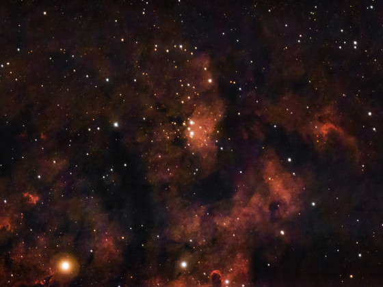 Berkeley 59 Offener Sternhaufen im NGC7822 Emissionsnebel mit der Vaonis Stellina