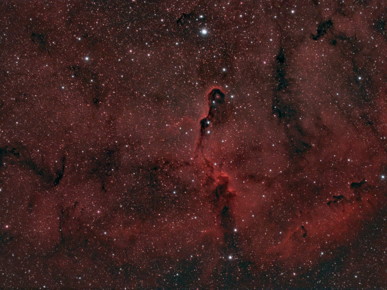 IC1396 Elephantenrüssel-Nebel