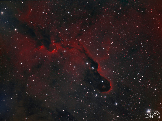 IC1396 Elephantenrüssel-Nebel