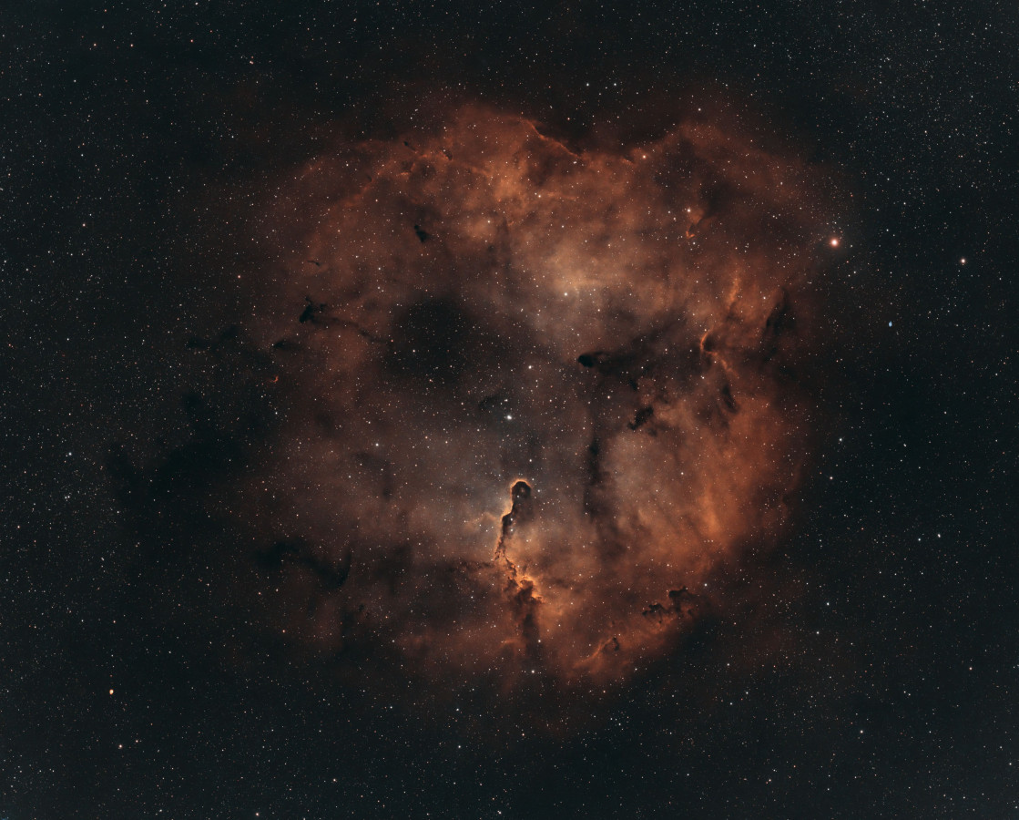 IC1396 Elefantenrüsselnebel