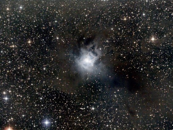 NGC7023 - Iris-Nebel
