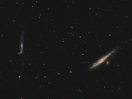 NGC4631 mit NGC4656/57