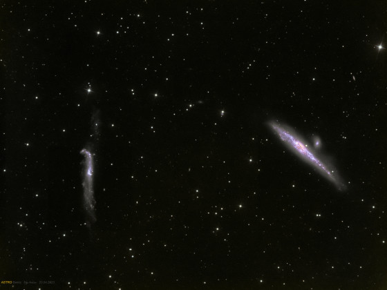 NGC4631 und NGC4656