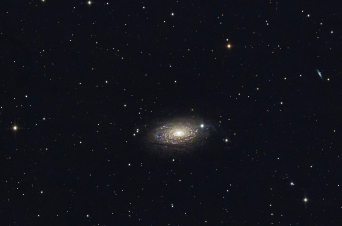 Die Sonnenblumen-Galaxie M 63, endlich!