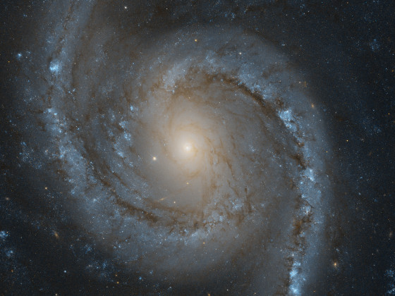 NGC1566 - Hubble Daten / NASA