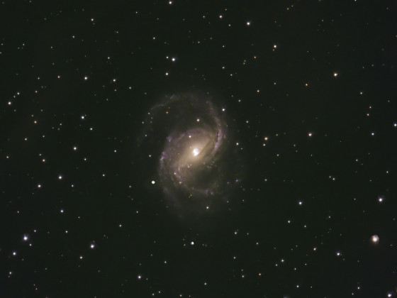 NGC6951