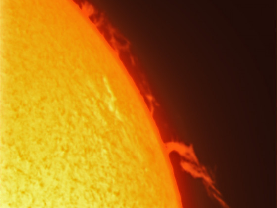 Sonne H-alpha 25.Mai