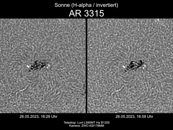 Sonne in H-alpha am 26.05.2023 (invertiert) - AR 3315