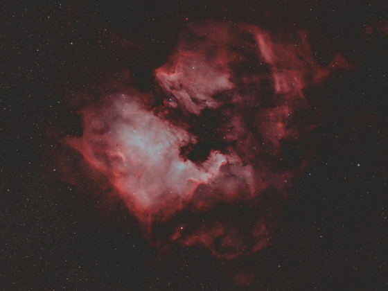 Nordamerika Nebel NGC7000