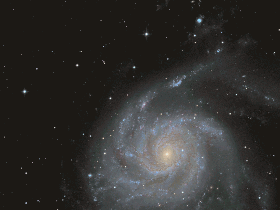 Animation Supernova Messier 101