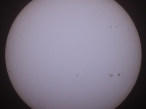 Sonne 30.05.2023 - 8" Newton - Weißlicht - Einzelbild