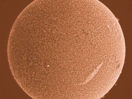 Sonne in H-alpha am 03.06.2023 (invertiert)