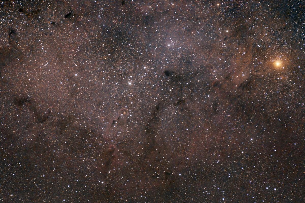 IC1396A (Elephant´s Trunk Nebula)