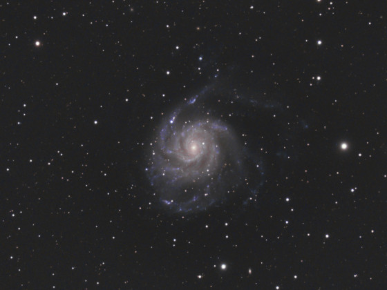 M101 Feuerradgalaxie mit SN2023ixf