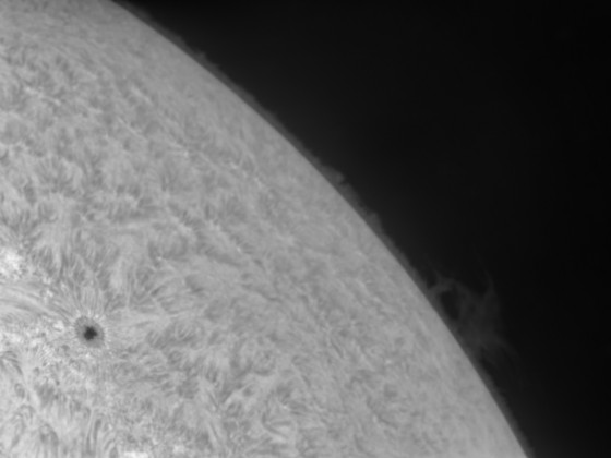 Sonne | AR3229 und Protuberanz im NO am 12.06.2023