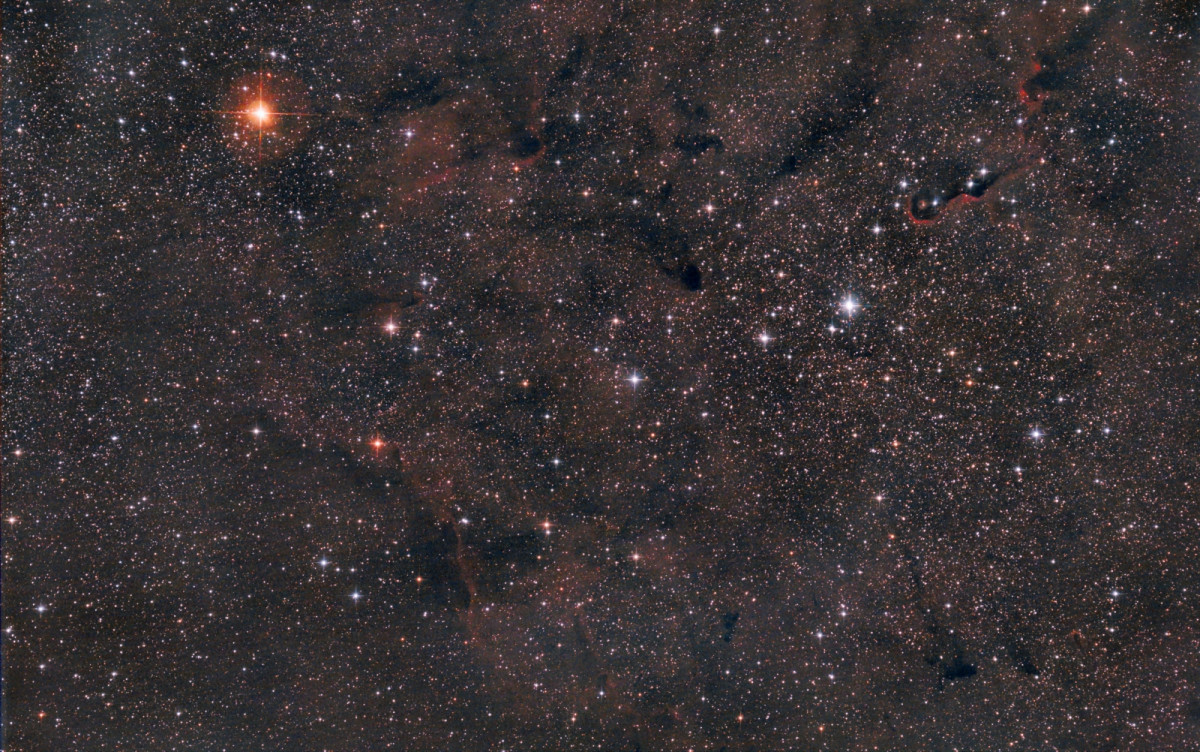 IC 1396 Gebiet im Cepheus; 140x32 sec mit Breitband Optolong l-pro Filter, 6" f/3 Newton; Canon 77da; 12.06.2023;  musste um 02.50 Uhr aufhören, der Morgen begann, RAW wurde blau;