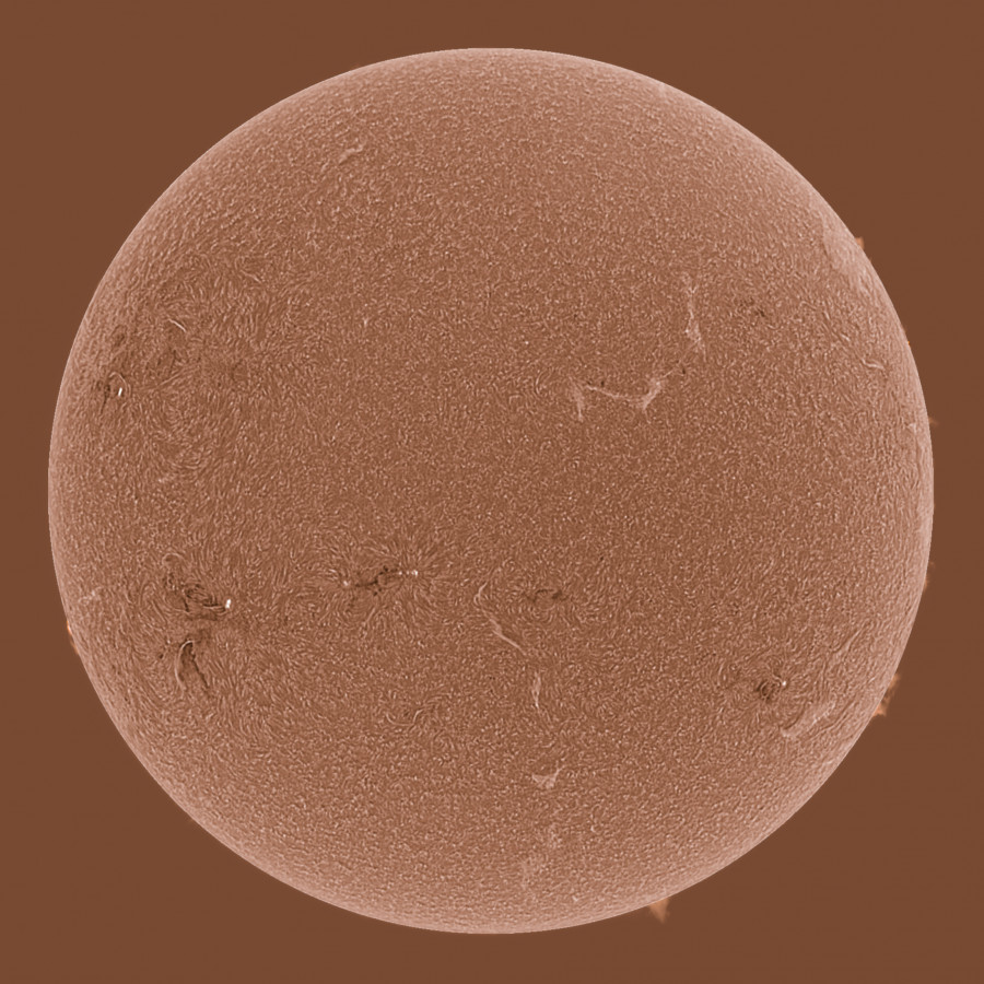 Sonne in H-alpha am 16.06.2023 (invertiert)