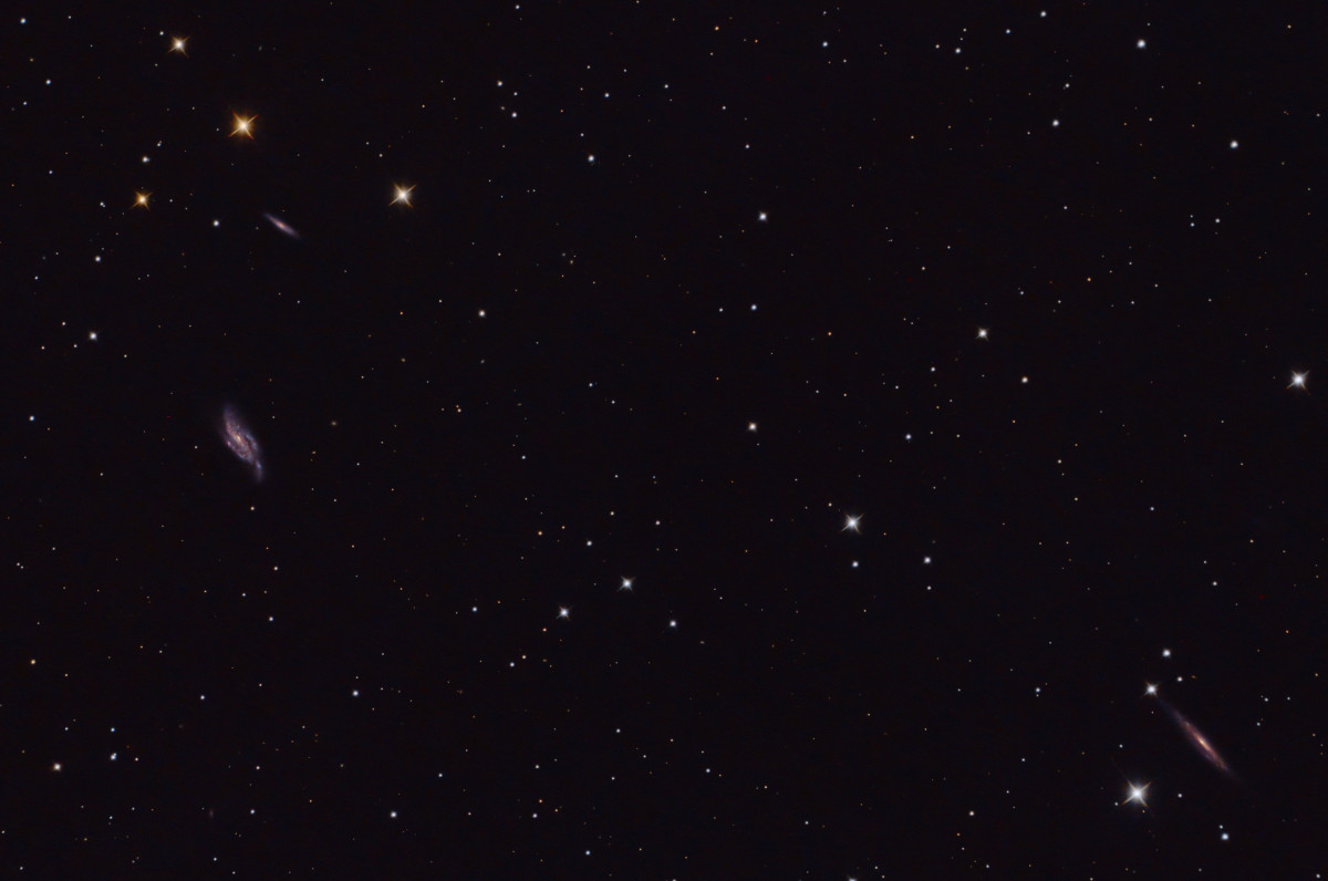 NGC4088, 4085 und NGC4157