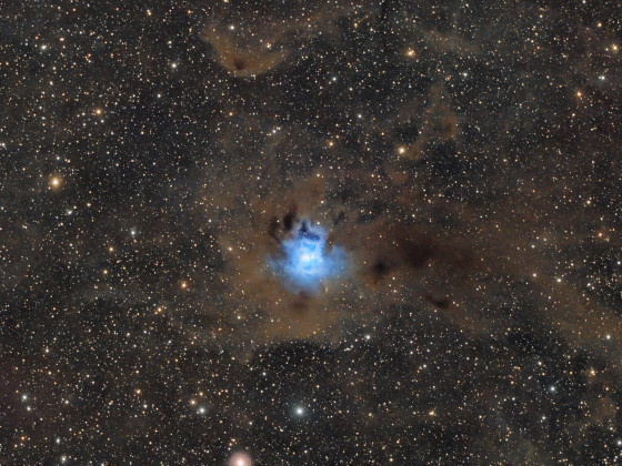 Irisnebel (C4, NGC 7023, vdB 139)