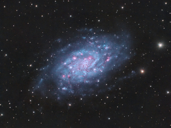C7 / NGC 2403