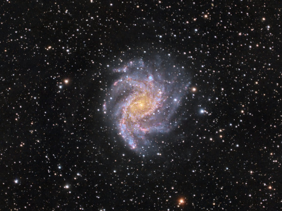 C12 / NGC 6946 - Feuerwerksgalaxie