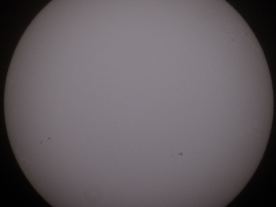 Sonne 14.06.2023 - 8" Newton - Weißlicht - Einzelbild