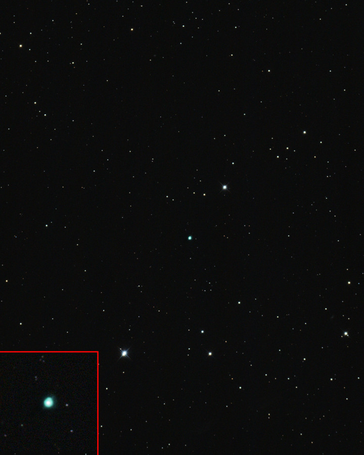 IC 4593 – White Eyed Pea