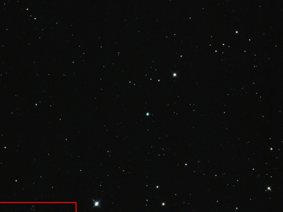 IC 4593 – White Eyed Pea