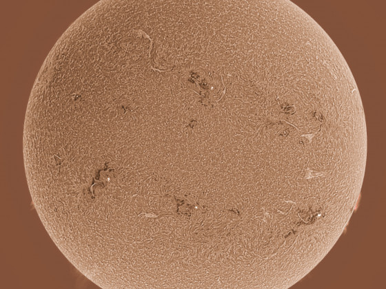 Sonne in H-alpha am 23.06.2023 (invertiert)