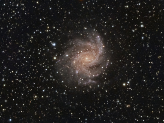 NGC6946 Feuerwerksgalaxie mit 2,5m Brennweite