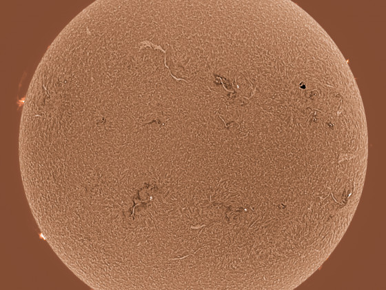 Sonne in H-alpha am 24.06.2023 (invertiert) mit Flare in AR 3337
