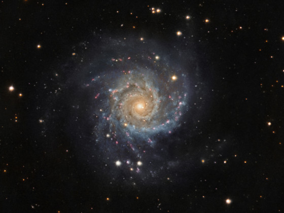 M74 - Phantomgalaxie