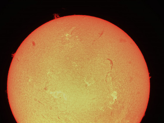 Sonne in H-Alpha am 25.06.2023