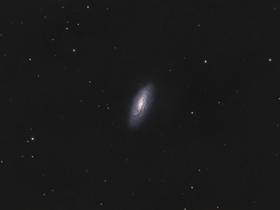 C29 / NGC 5005