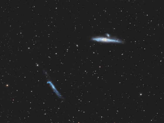 Arp 281 (Walgalaxie C32 und NGC 4627) und NGC 4656 - Hockey Stick Galaxie