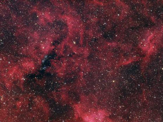 Unterwegs im Schwan - NGC6914 und Propeller Nebel mit 380 mm