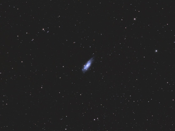 C36 / NGC 4559