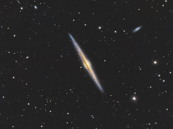 C38 / NGC 4565