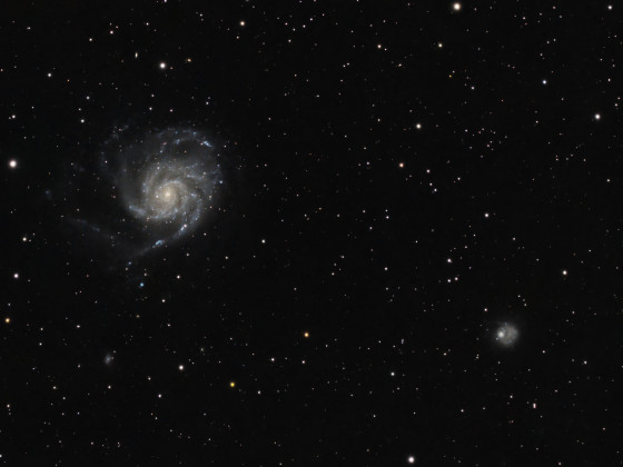 M101 mit SN2023ixf und NGC5474