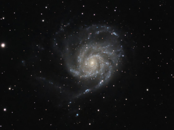 M101 mit SN2023ixf